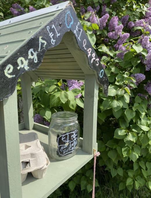 The Annex: 2 Bedroom Cottage, Countryside, Peaceful Getaway With Garden Easingwold Exteriör bild